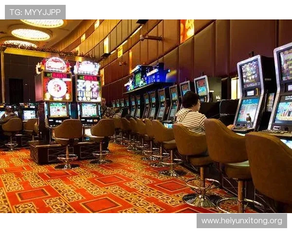 澳门上普京官网用户指南：如何在官方平台上进行账号管理和信息更新