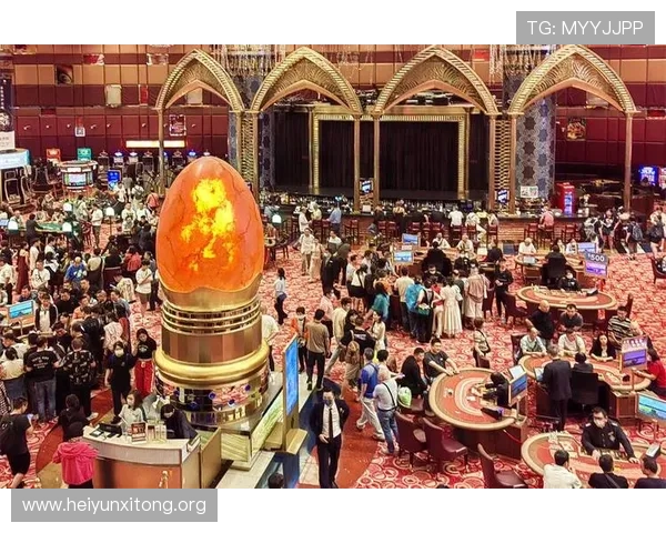 澳门十大娱乐场所一站式指南，提供最新娱乐资讯与专业玩法介绍帮助用户选择