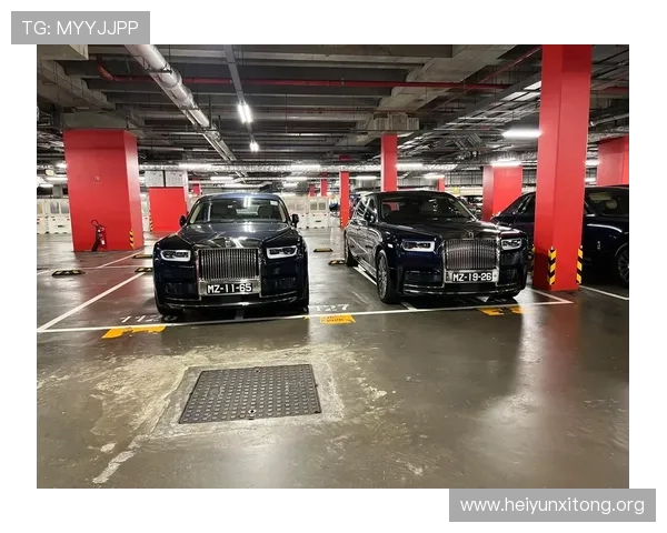 澳门十大赌场排名最新2024版，全面解析各大赌场的娱乐设施与优惠政策