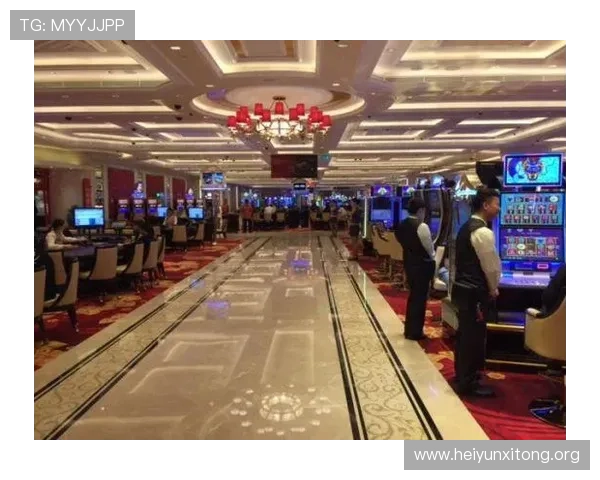 澳门最著名赌场排名前十，详细解析每个赌场的特色与娱乐项目