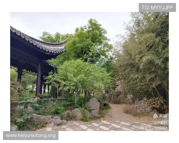凯旋门娱乐场注册流程与新手指南帮助新手快速上手体验 凯旋门娱乐场注册流程与新手指南帮助新手快速上手体验